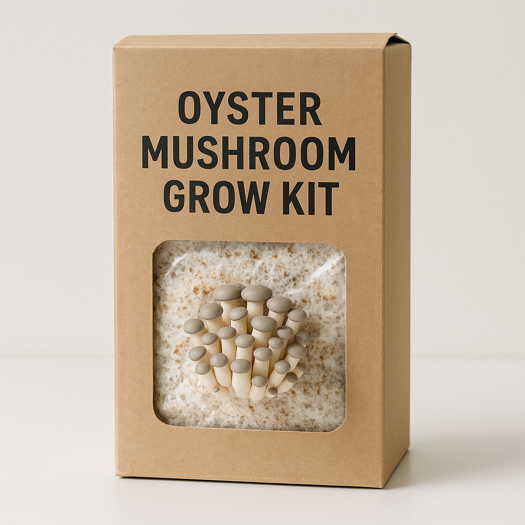 At-home oyster mushroom grow kit